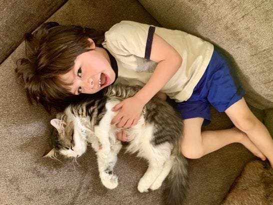 Happy client with Siberian kitten