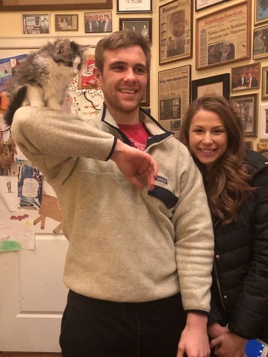 Siberian kittens available in Texas right now