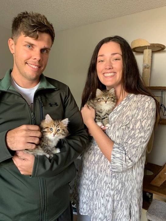 Siberian kittens with kids in a happy Texas family home